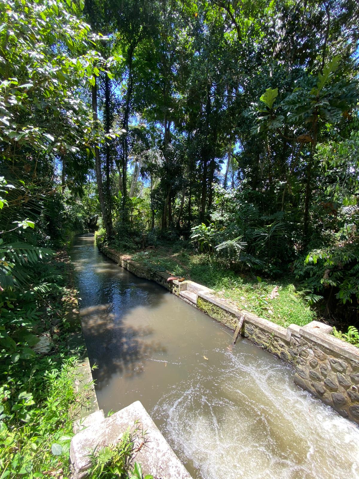 LLUbud42  |  Indo Investments